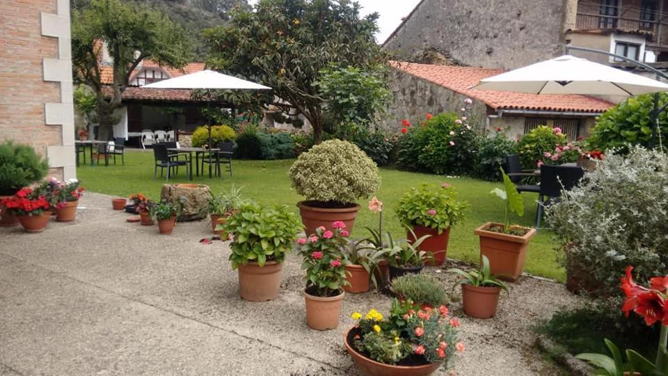 Posada De Muno Muñorrodero Εξωτερικό φωτογραφία